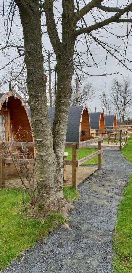 Glamping At Treegrove Hotell Kilkenny Eksteriør bilde